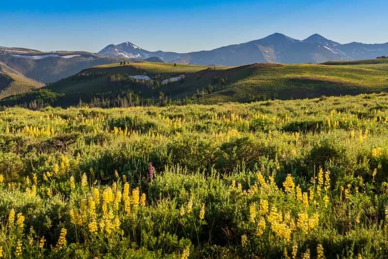 Outdoor Fun For Every Season