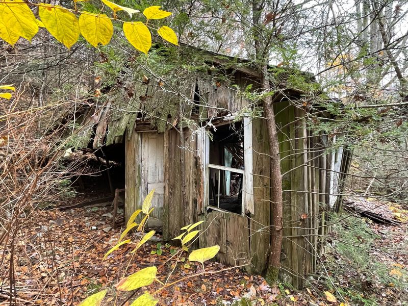 This Forgotten North Carolina Ghost Town Was Once A Bustling Logging Village Lost To Time - Decor Hint Moonshine Production Flourished In Jurisdictional Gray Zones