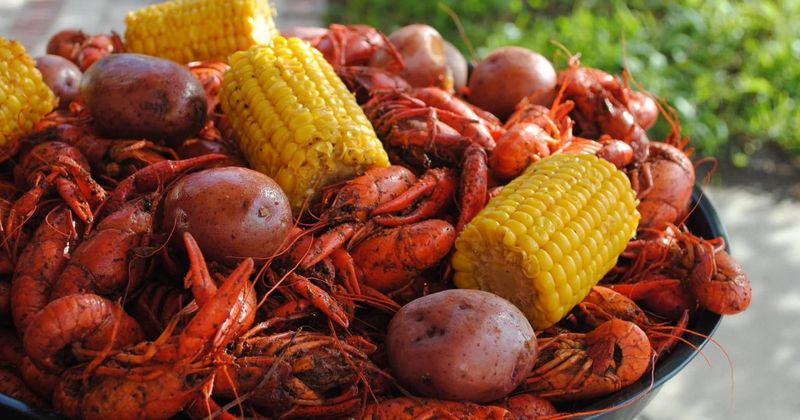 Mississippi Restaurants That Serve Big Flavor On A Small Budget - Decor Hint The Crawdad Hole