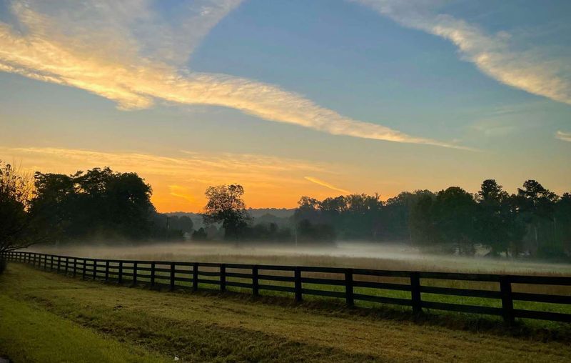 16 Georgia Dream Suburbs Ranked With An Atlanta-Area Gem At Number One - Decor Hint Milton