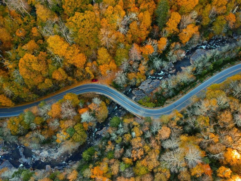 Locals' Favorite North Carolina Scenic Drive That Feels Like Heaven - Decor Hint Ever-Changing Terrain Keeps Things Exciting