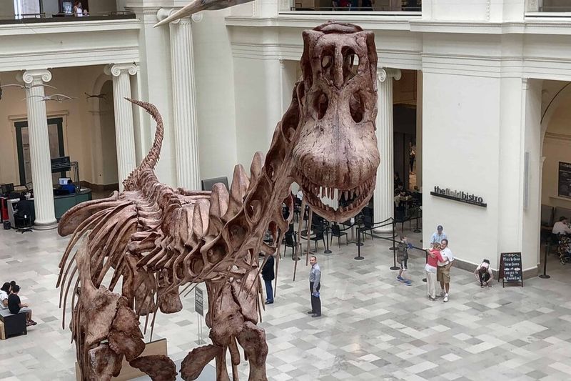 Field Museum, Chicago