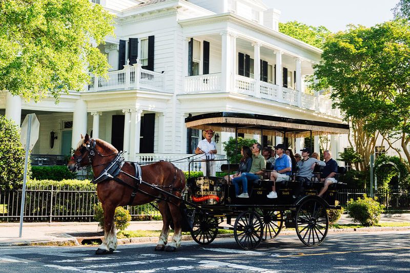 26 Reasons Charleston Might Be The South's Most Captivating City - Decor Hint Carriage Rides Through Historic Streets