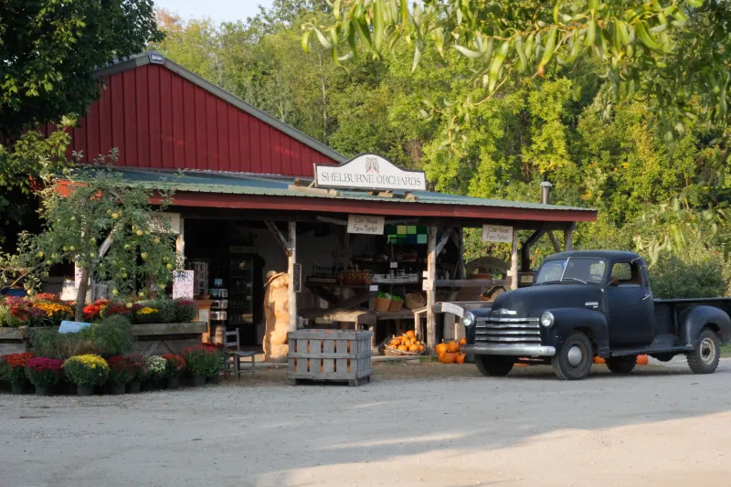 The Best Apple Pie Spots To Try In Vermont - Decor Hint Shelburne Orchards
