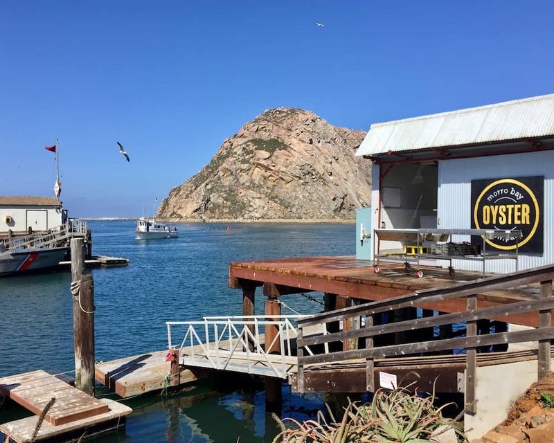 16 California Seafood Shacks Right On The Coast With Views Worth The Drive - Decor Hint Morro Bay Oyster Company