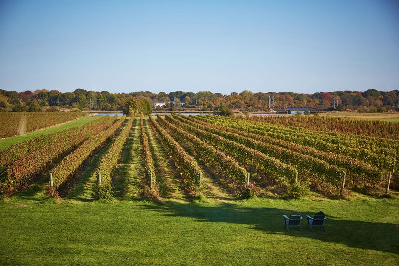 Beautiful Spots That Prove This Connecticut Coastal Town Is A True Hidden Treasure - Decor Hint Stonington Vineyards