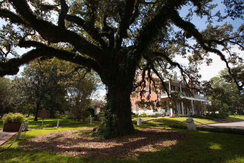 St. Martinville and the Evangeline Oak