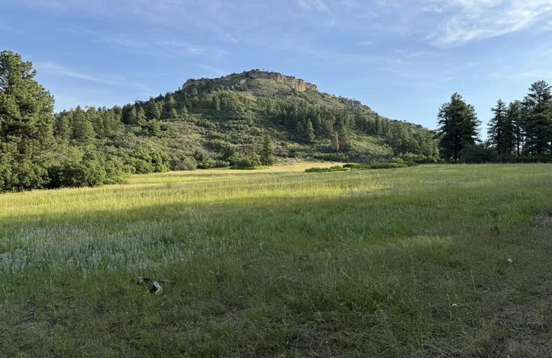 Dawson Butte Open Space
