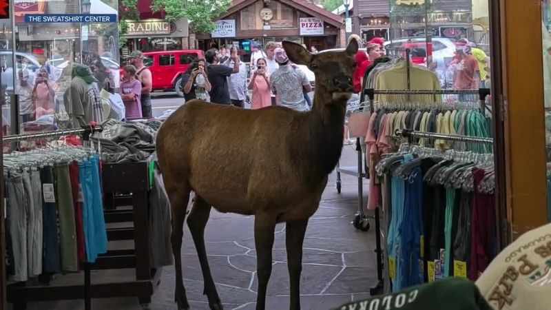 Estes Park Downtown