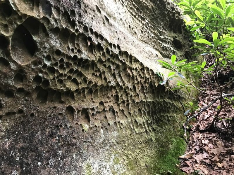 16 Tennessee Spots Travelers Love For Their Peace And Quiet - Decor Hint Pickett State Park