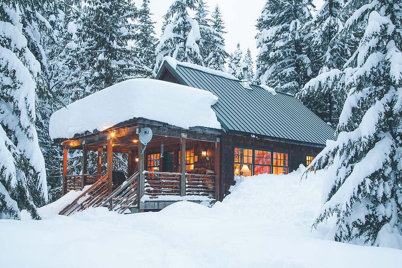 Snowy Owl Cabin