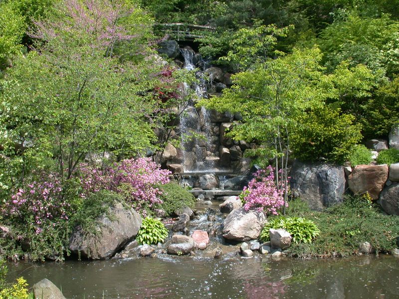 Anderson Japanese Gardens, Rockford