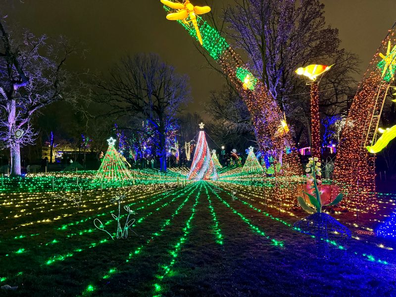 Illinois Christmas Markets That Fill Up Before You Know It - Decor Hint Lincoln Park Zoo Lights