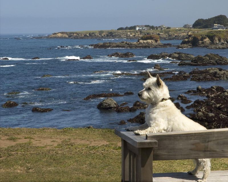 Mendocino Coast Botanical Gardens