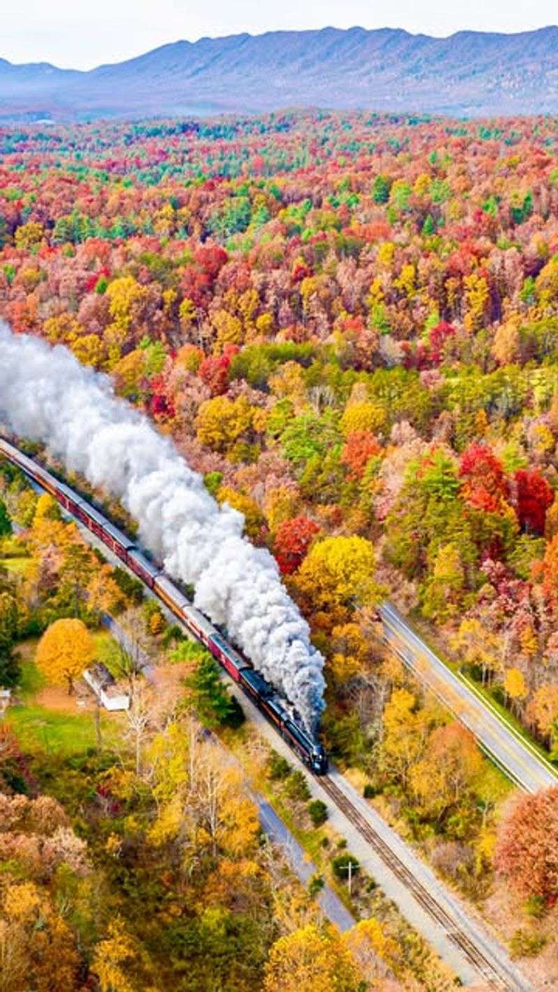 9 North Carolina Train Rides With Beautiful Fall Views - Decor Hint Virginia Museum of Transportation Autumn Rides