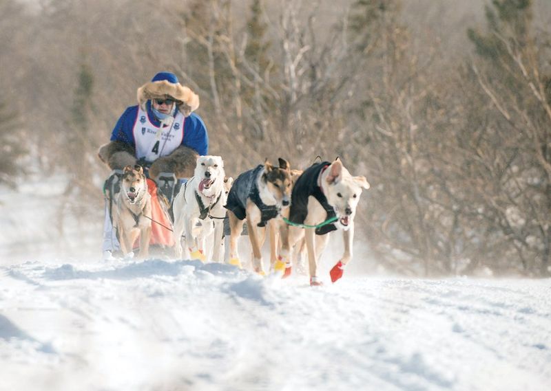 Apostle Islands Sled Dog Race