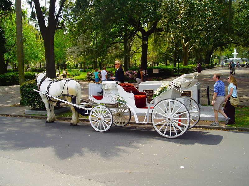 Forsyth Park Carriage Tour Prices