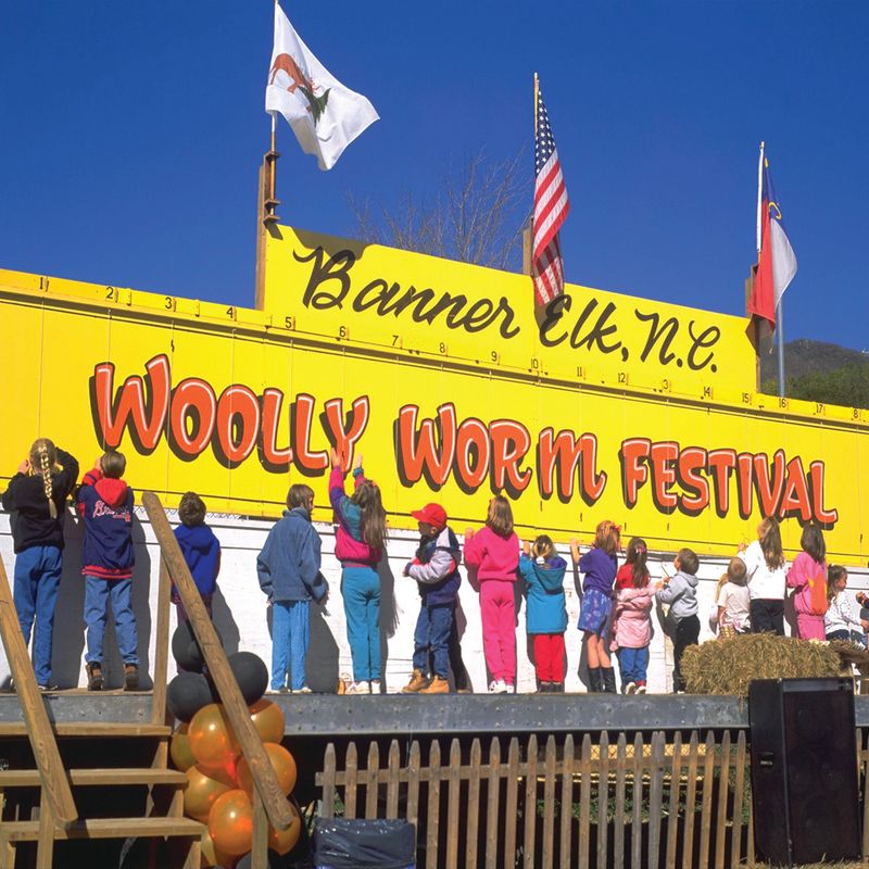 Elk Became Cultural Icons Of Appalachia