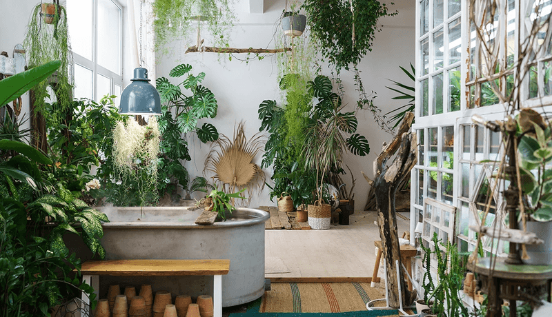 Create A Coastal Indoor Garden Shelf