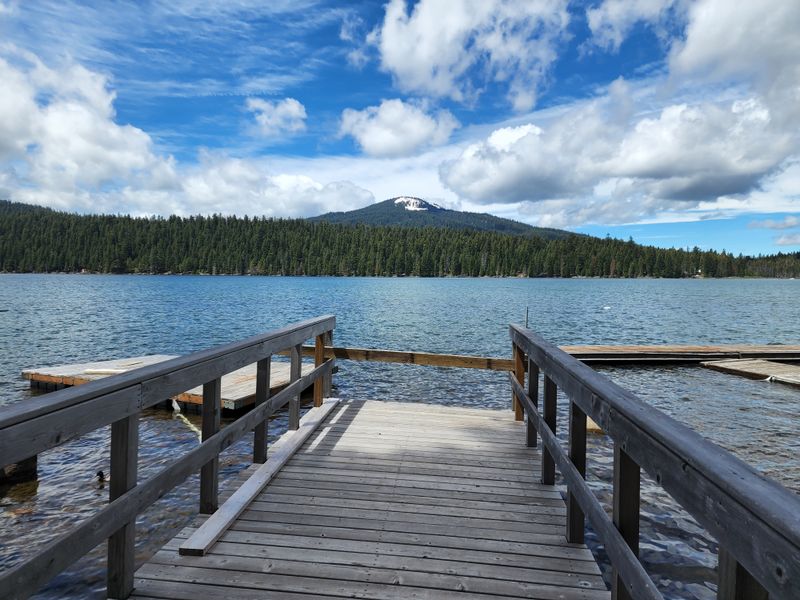 Wildlife Watching In Your Backyard