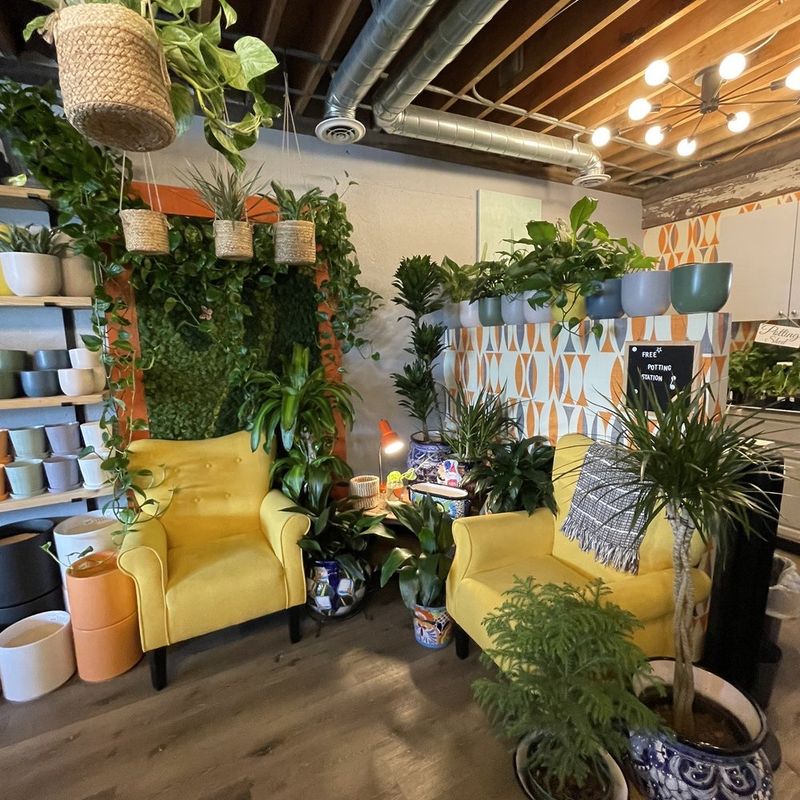 Colorado Springs Made Fair