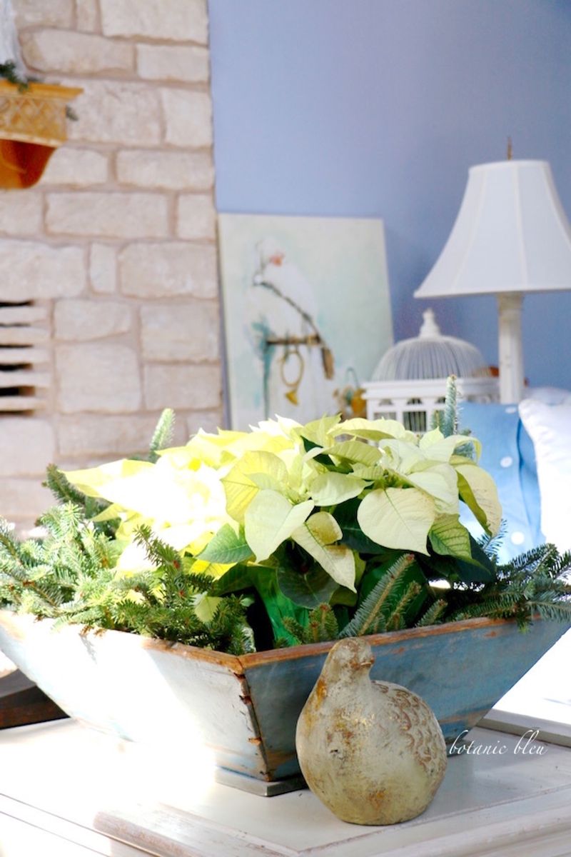 White Poinsettias as Centerpiece Stars