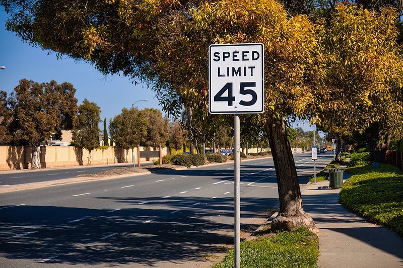 Elephant Parking Fees