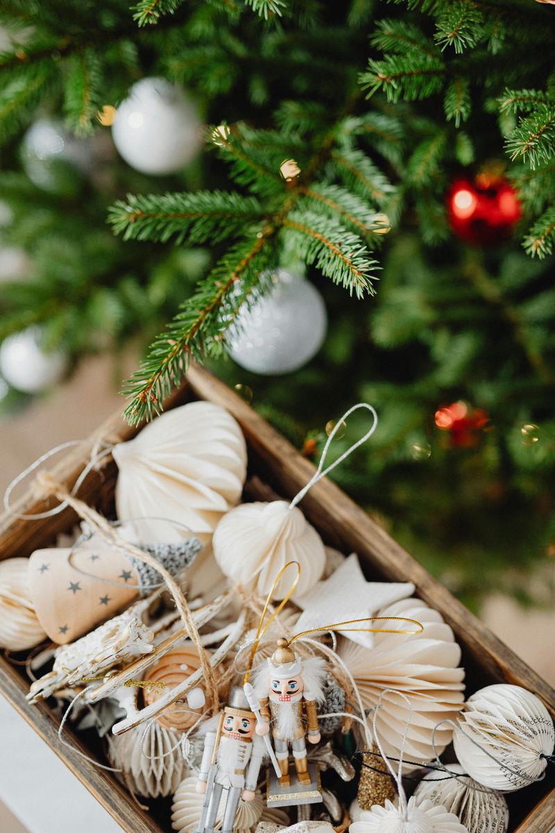 Festive Texas Inspired Décor Ideas And The Secret To A Perfect Christmas Cactus - Decor Hint Bluebonnet Displays Celebrate State Flora