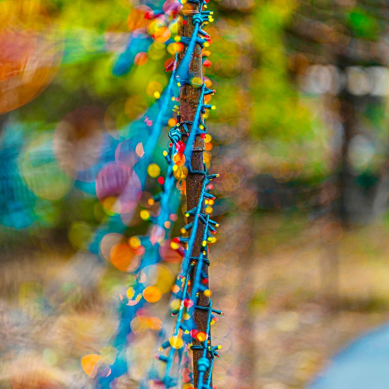 12 Secret And Famous Gardens To Discover In Michigan - Decor Hint Fernwood Botanical Garden & Nature Preserve