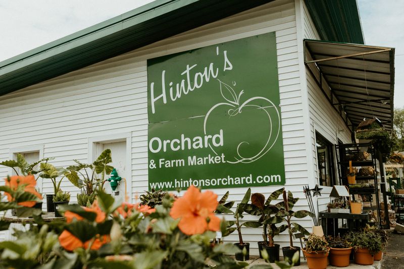 16 Kentucky Grocery Stores Locals Trust For Quality Meat And True Bluegrass Tradition - Decor Hint Hinton's Orchard & Farm Market