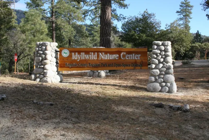 The California Mountain Town Where Retirement Dreams Come True - Decor Hint Idyllwild Nature Center
