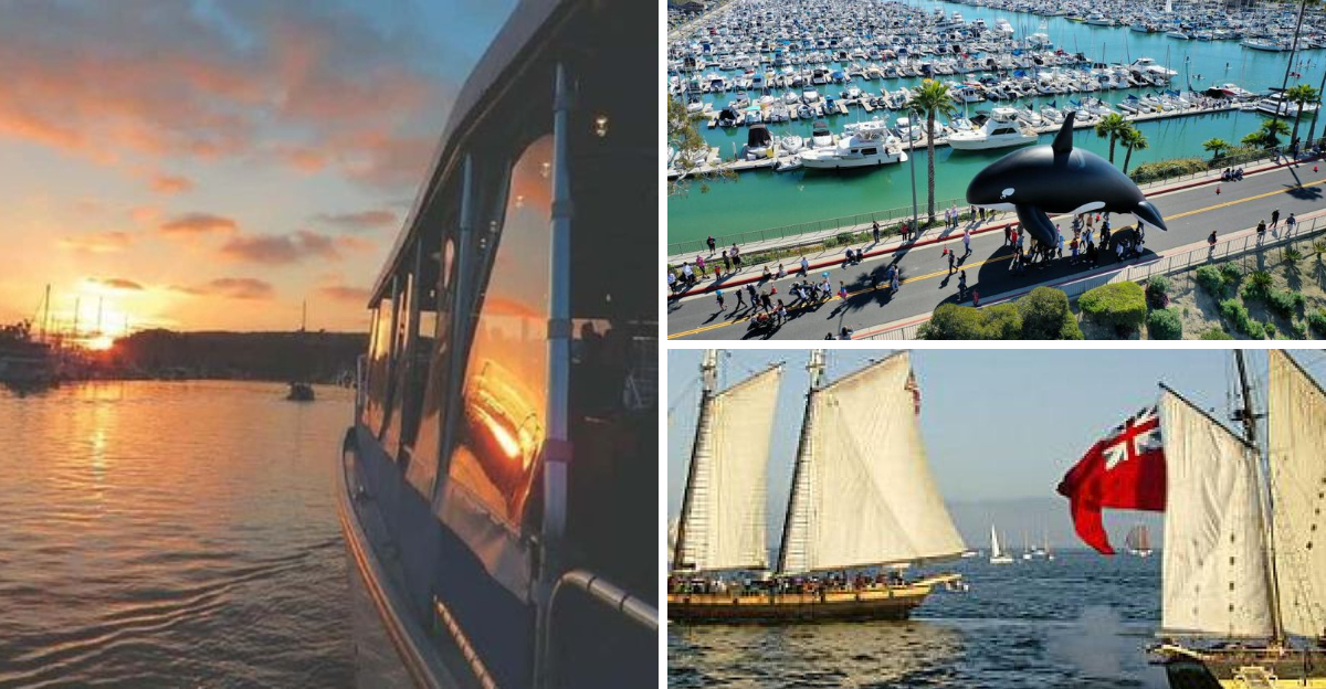 Dana Point Activities Only A California Native Would Recommend - Decor Hint