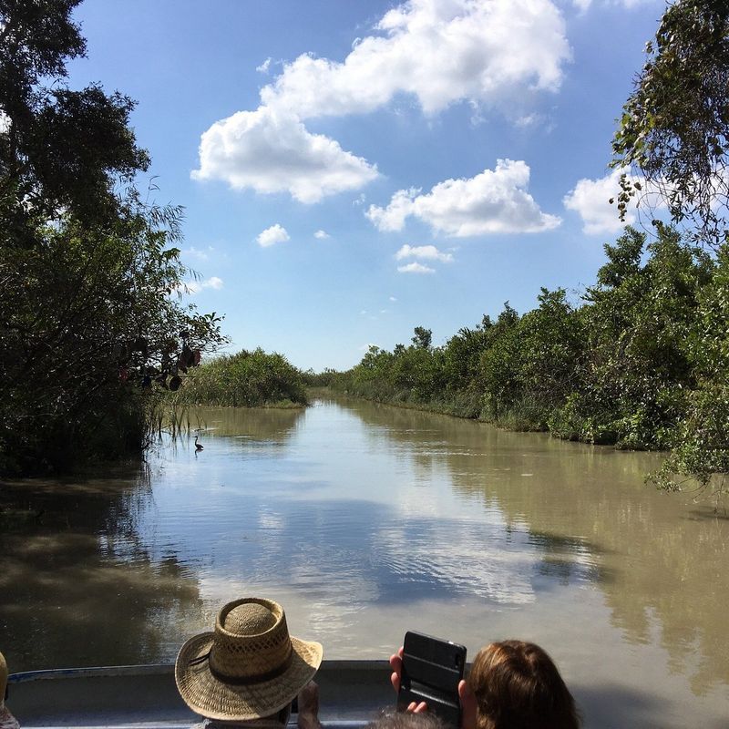 Everglades Alligator Farm