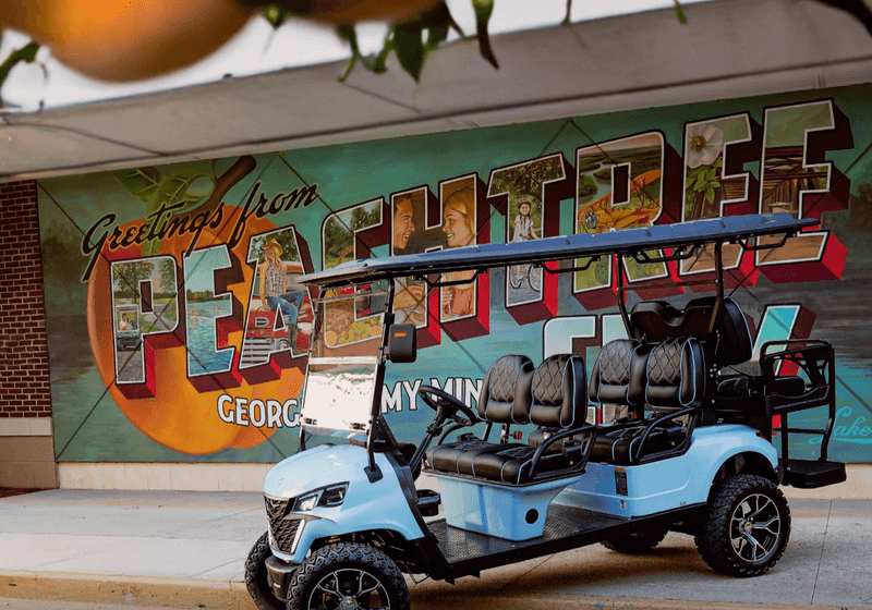 16 Georgia Dream Suburbs Ranked With An Atlanta-Area Gem At Number One - Decor Hint Peachtree City