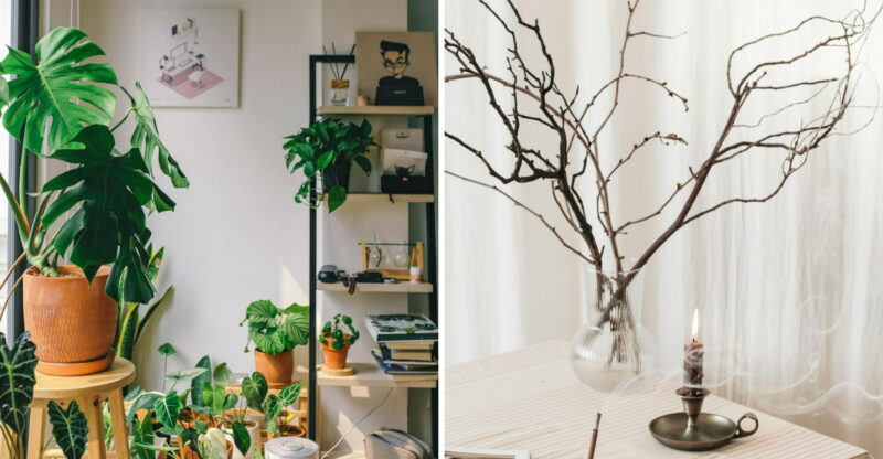 Decorating Tips That Can Make Your Home Look Well-Designed