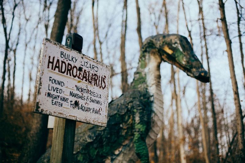 Exploring Michigan's Most Eerie Abandoned Parks - Decor Hint Prehistoric Forest Amusement Park, Onsted