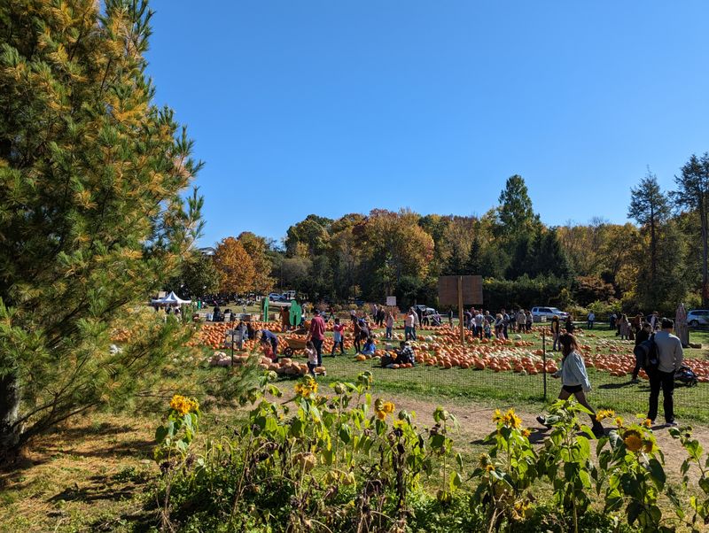 Harvest Moon Farm & Orchard – North Salem, NY