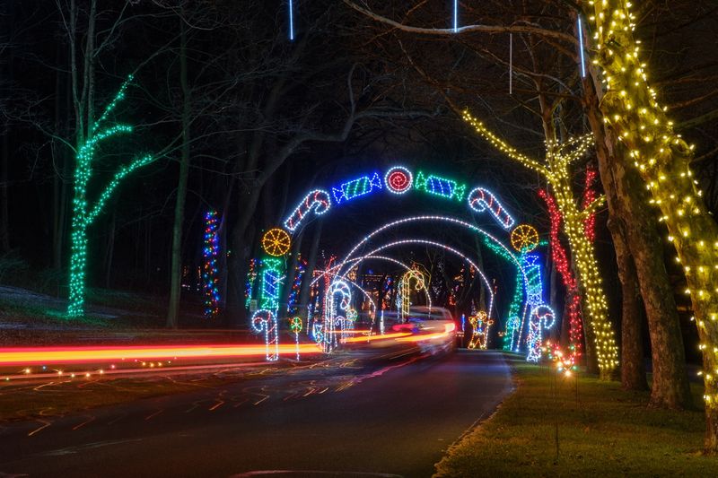 20 Pennsylvania Fall Festivals You'll Want To Experience At Least Once In 2025 - Decor Hint Lights In The Parkway