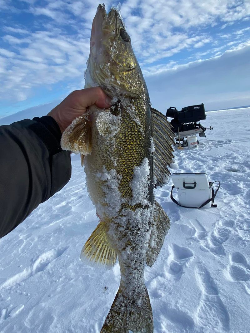 Year-Round Fishing Possibilities Including Ice Fishing