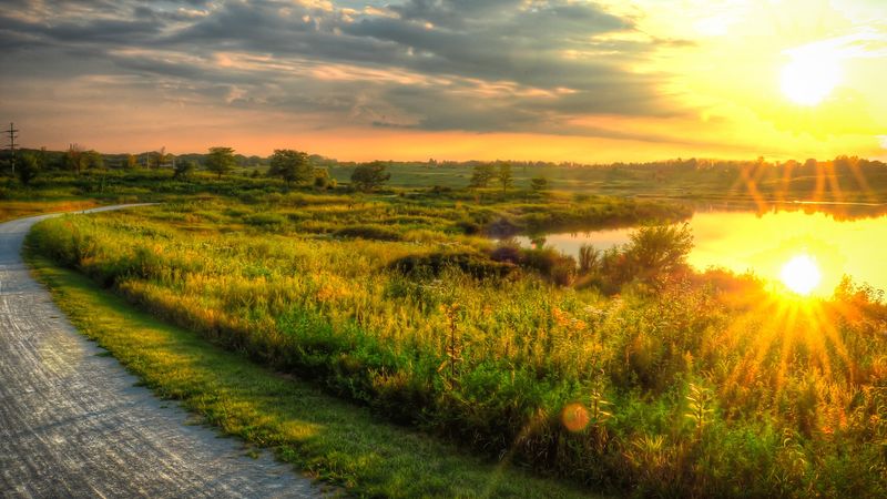 Scenic Trails That Wind Through Nature