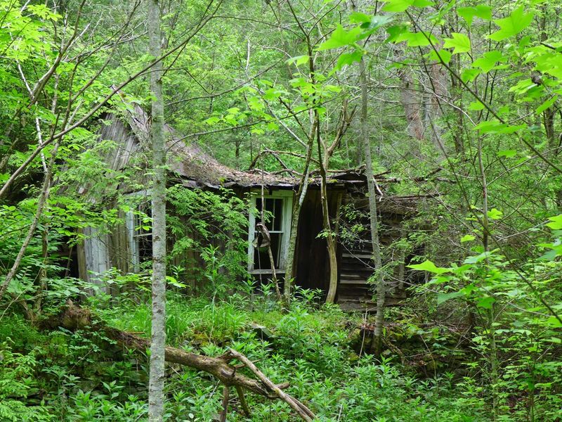 This Forgotten North Carolina Ghost Town Was Once A Bustling Logging Village Lost To Time - Decor Hint The Forgotten Schoolhouse