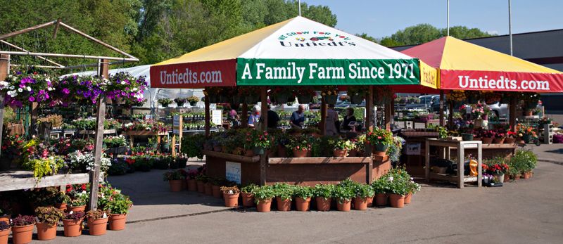 20 Minnesota Grocery Stores Delivering Old-School Quality And Fresh Flavorful Meat - Decor Hint Untiedt's Vegetable Farm