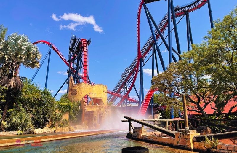 Top Theme Parks In Florida For Adults - Decor Hint Busch Gardens Tampa Bay