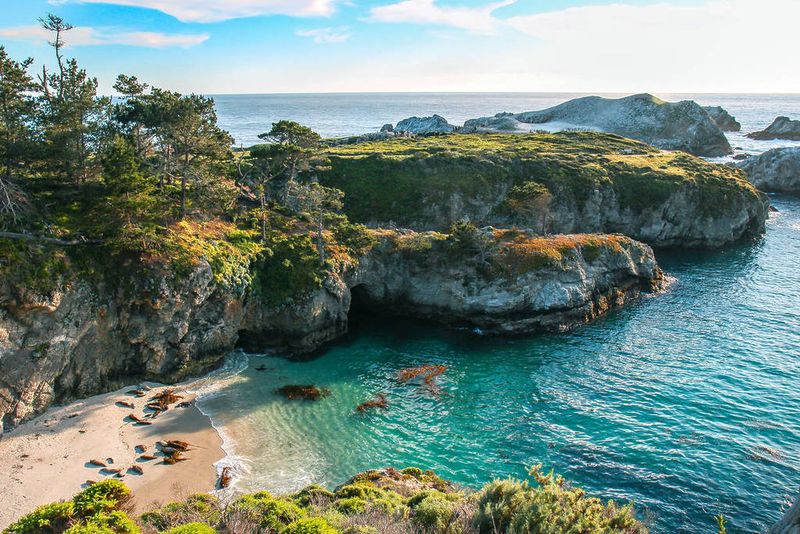 Point Lobos State Natural Reserve