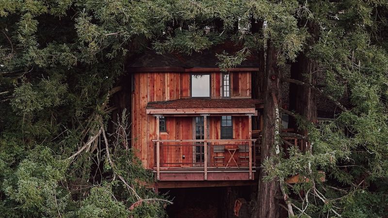 Treehouse Escape – Santa Cruz Mountains