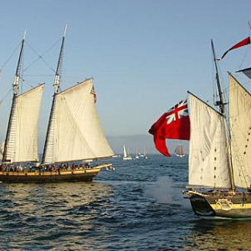 Dana Point Activities Only A California Native Would Recommend - Decor Hint Tall Ships Festival Magic