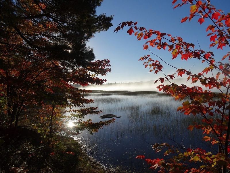 Wildlife Watching Fills Every Moment
