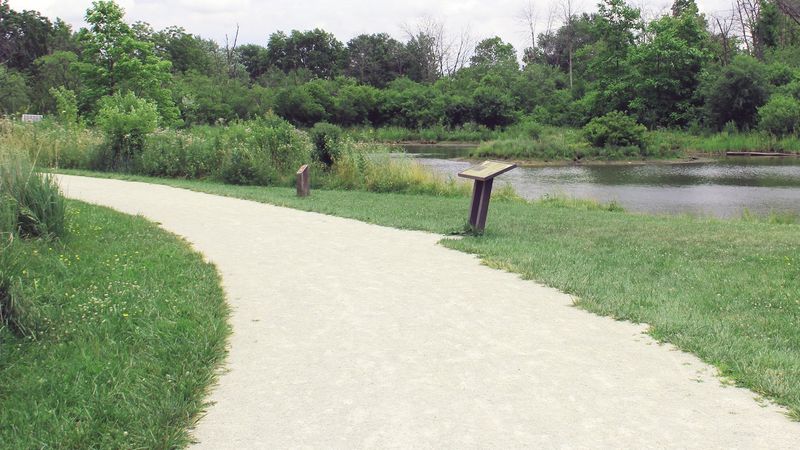Picnic Areas Under Majestic Oaks