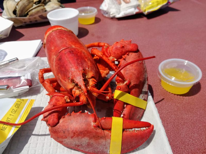 Miller's Lobster Company