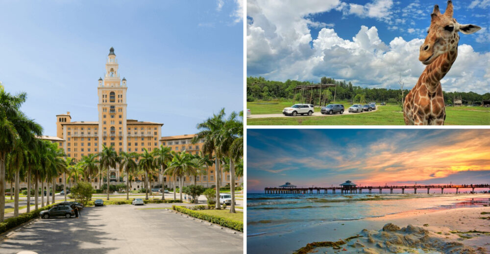 Florida Tourist Traps That Dont Live Up To The Hype - Decor Hint